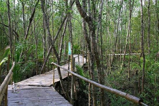 Placer Mangrove Eco-Park